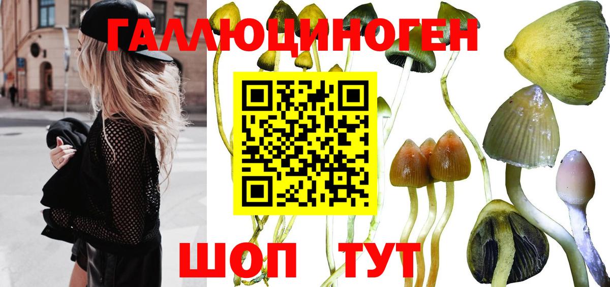 Краснодар  Псилоцибиновые грибы ЛСД  Вход с VPN 